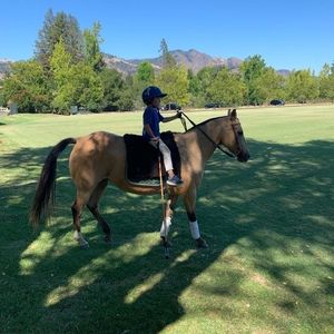 Meet your Posher, Manolo